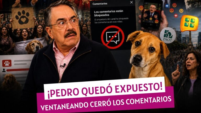 comentario de Pedro Sola sobre perros